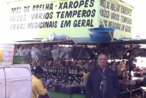 Cura para quase tudo: Entre raízes e raizeiros, o conhecimento tradicional em Brasília 