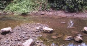 Nenhum rio morre de repente...