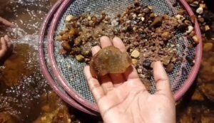 DESGOVERNO AUTORIZA GARIMPO EM TERRAS INDÍGENAS