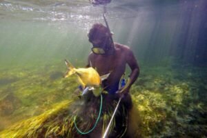 indígenas, pesca, modo de vida