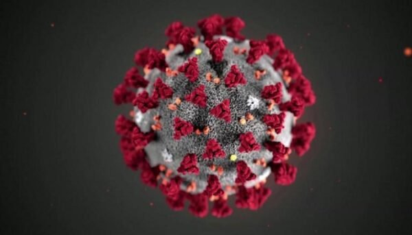 COVID-19: TODOS SÃO IGUAIS PERANTE O VÍRUS?