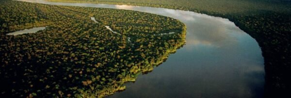 EM DEFESA DA AMAZÔNIA E DOS POVOS DA FLORESTA