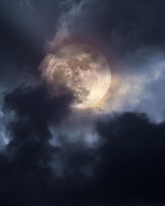 shutterstock 2291109891