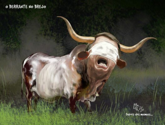 Conheça os espécimens da boiada