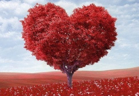 ori 100 amor dar certo 730x339 1