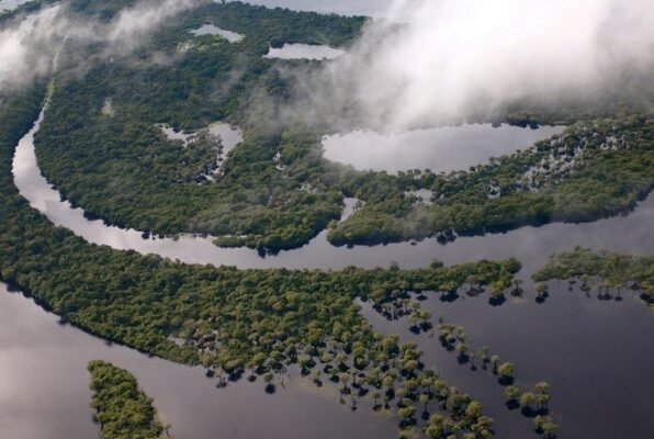 OS VENTOS DA FLORESTA