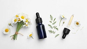 AS VIRTUDES DAS FLORES