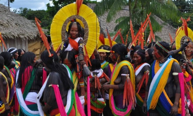 Parem os ataques às Terras Indígenas