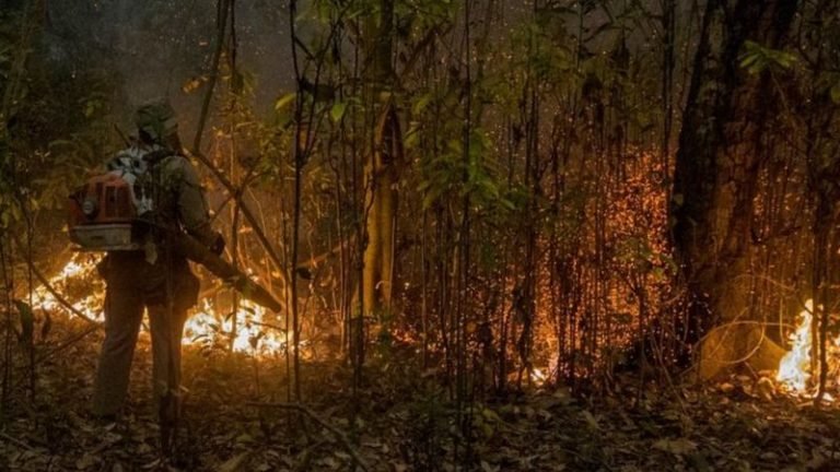 Incêndios no Pantanal: uma tristeza