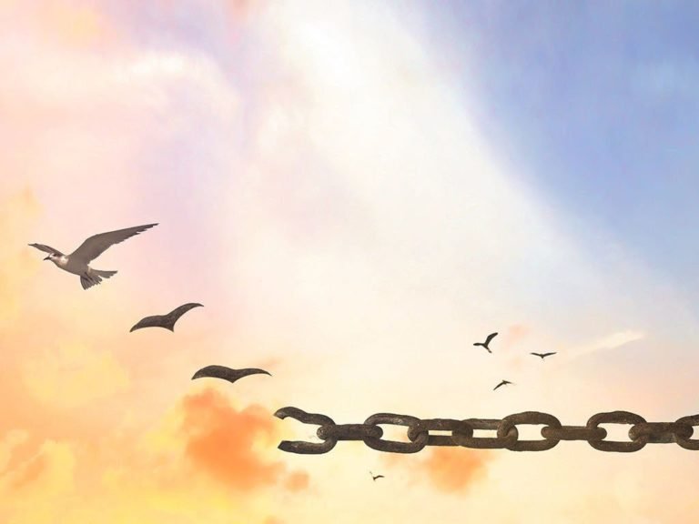 A Verdadeira Liberdade