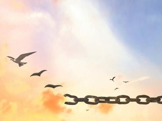 A Verdadeira Liberdade