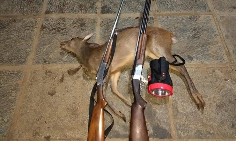 ENTIDADES ASSINAM MANIFESTO CONTRA ARMAS DE FOGO