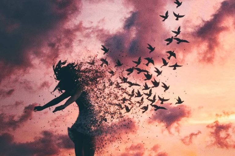 A LIBERDADE QUE MORA NA VERDADE