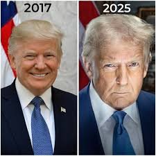 trump instagramimages 1