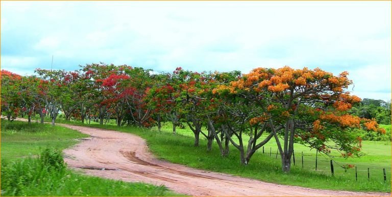 A Experiência do Prazer Numa Vida Vazia de Sentido