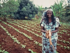 WANGARI MAATHAI: A MÃE DA TERRA