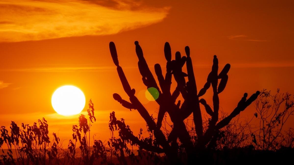 shutterstock 1971700058