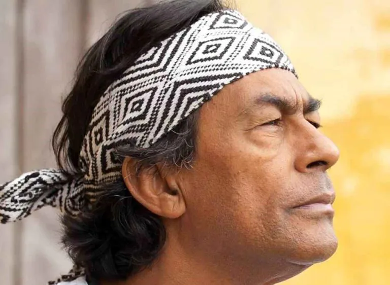Ailton Krenak: A vida não é para ser útil
