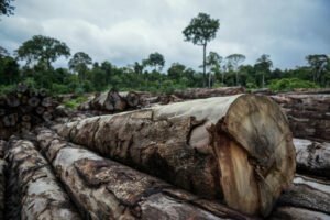 RORAIMA: VIOLÊNCIA É CONTRA A PRÓPRIA IMAGEM