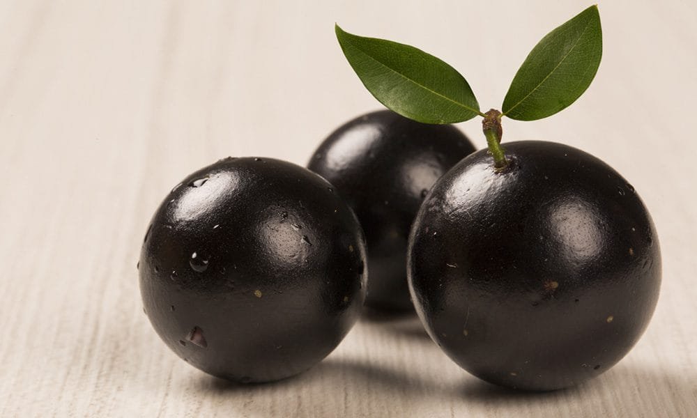 imagem jabuticaba