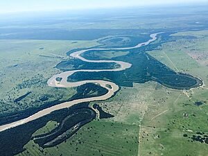 AMAZÔNIA LIVRE DA EXPLORAÇÃO DO PETRÓLEO ...