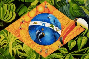 O Conceito de Biodiversidade