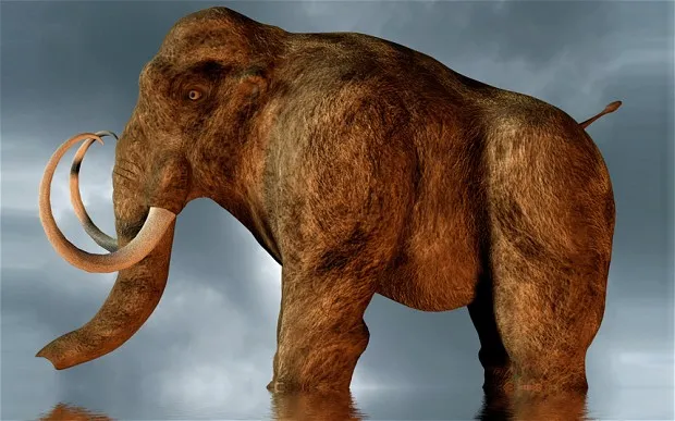 GIGANTES DA AMAZÔNIA 1 GIGANTES DA AMAZÔNIA