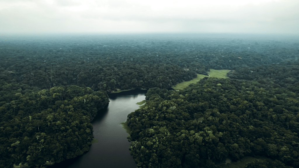 Amazonia. A HUMANIDADE QUE PENSAMOS SER. Tempo