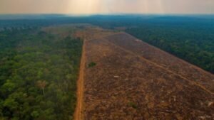 AGRONEGÓCIO: O VILÃO DA CRISE CLIMÁTICA