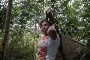 A força feminina da Pimenta Baniwa