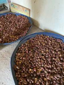 Buriti