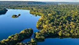 amazonia dia portal gov