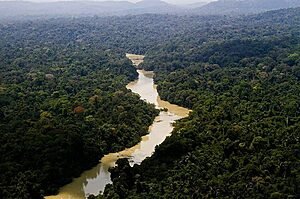 amazonia icmbio rio e floresta