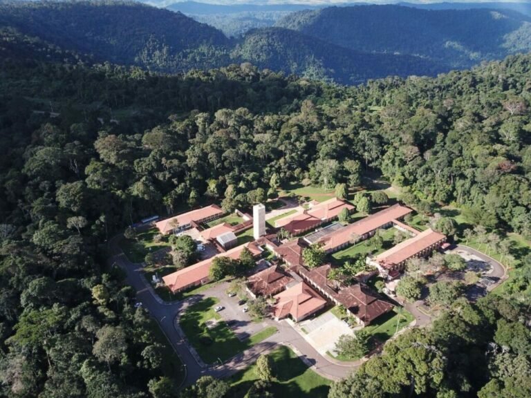 O hospital japonês de Carajás