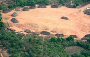 Desaparecimento de árvores e de plantas preocupa indígenas no Xingu