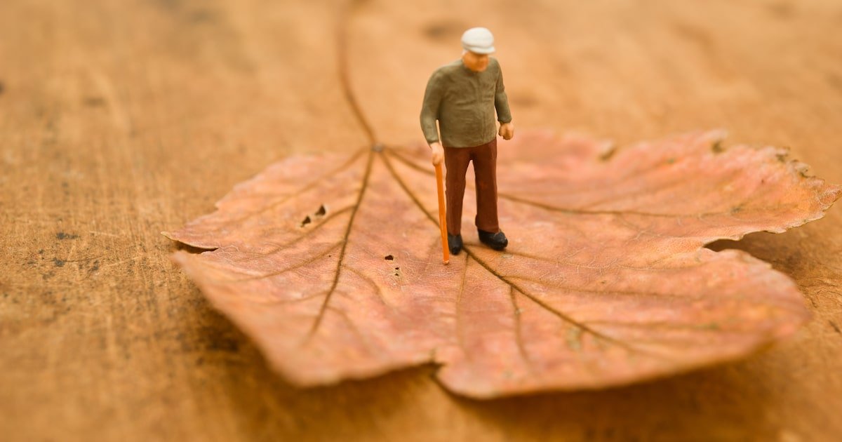 DE BEM COM A VIDA 1 7a6859e0 ccd3 4fcd 9c64 c3b3c28a3778