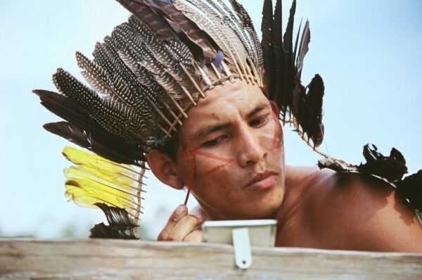 Onde estão os povos indígenas do Brasil?