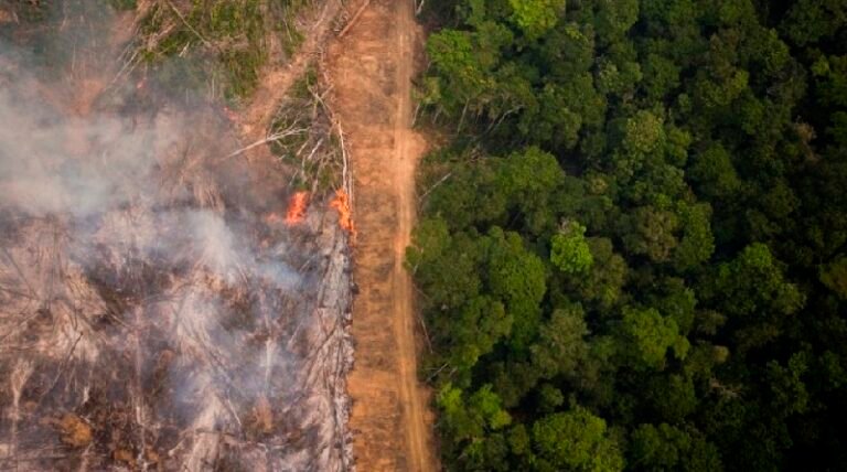 MUNICÍPIOS QUE MAIS DESMATAM ESTÃO NO PI, BA E MG