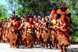 Bahia pataxo Bahia Dia a Dia