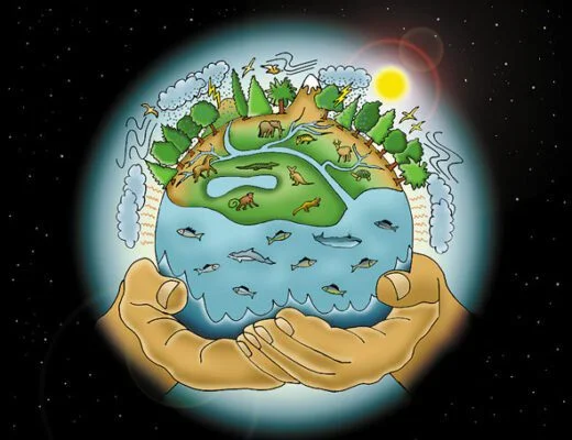 Carta da Terra Sitio Sucupira