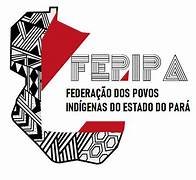 Logomarca da Federação dos Povos Indígenas no Estado do Pará (FEPIPA). À esquerda, um símbolo gráfico em preto e branco, com padrões geométricos inspirados em grafismos indígenas, parcialmente sobreposto por uma forma vermelha. À direita, a sigla FEPIPA em letras maiúsculas e, abaixo, o texto: "Federação dos Povos Indígenas no Estado do Pará". O fundo é branco.
