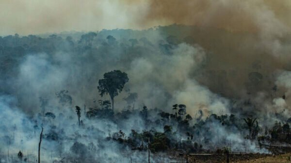 A fogueira amazônica