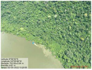 DESAPARECIMENTO DE ÁRVORES PREOCUPA POVOS NO XINGU