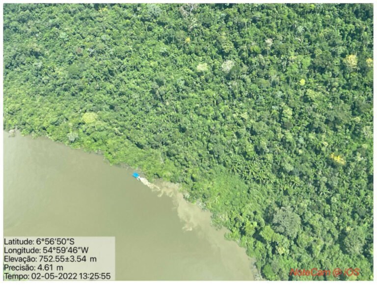 DESAPARECIMENTO DE ÁRVORES PREOCUPA POVOS NO XINGU