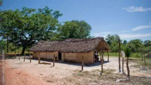 Povos do Cerrado
