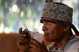 AYAHUASCA E O TRATAMENTO DE ALCOOLISMO E DEPRESSÃO 2 images 28