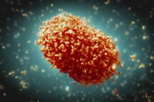 TODOS SÃO IGUAIS PERANTE O VÍRUS? 1 virus variola 1024x683 1