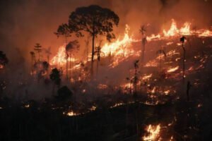 Brasil em chamas: fogo se espalha por todos os biomas, de norte a sul do país