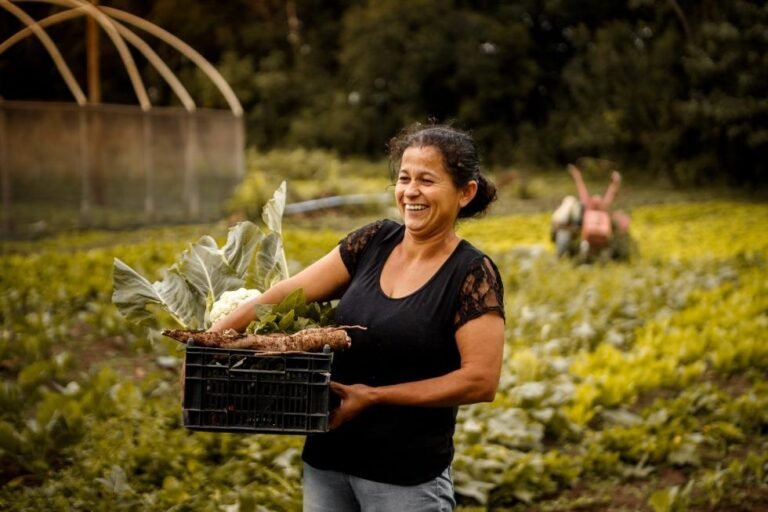 Na entrevista à Articulação Nacional de Agroecologia (ANA), Sebastião Pinheiro faz análises sobre as políticas públicas no meio rural