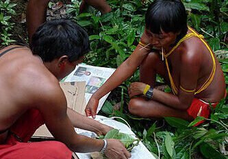 ECOLOGIA, SEGUNDO OS YANOMAMI